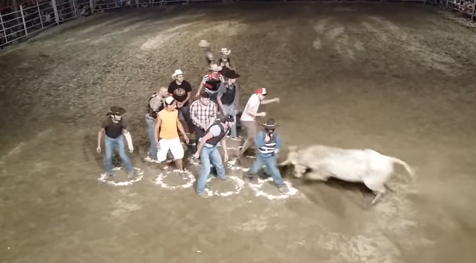 Bull Bowling Might Be The Dumbest Best Thing Ever