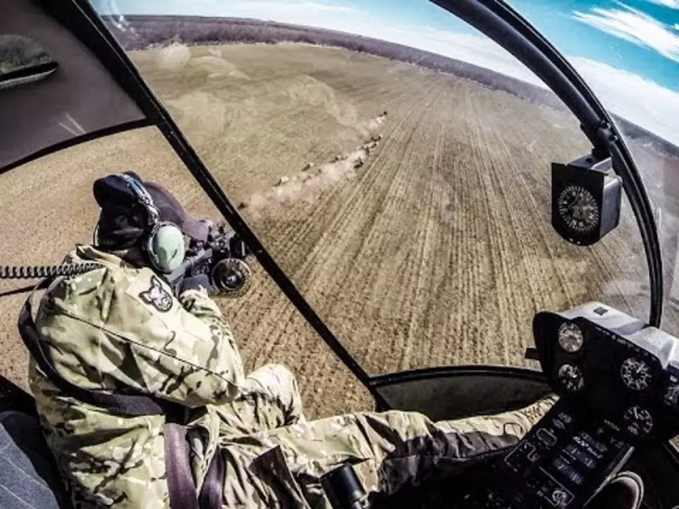 LOOK: You Can Hunt Hogs from a Helicopter in Texas