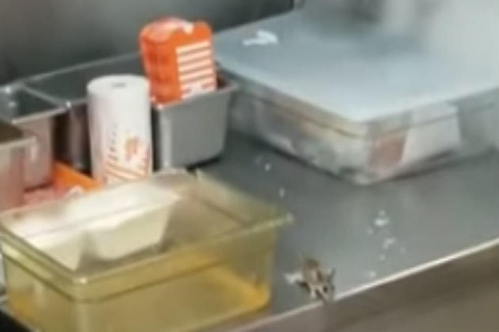Mouse Jumps into Deep Fryer at Whataburger! [VIDEO]