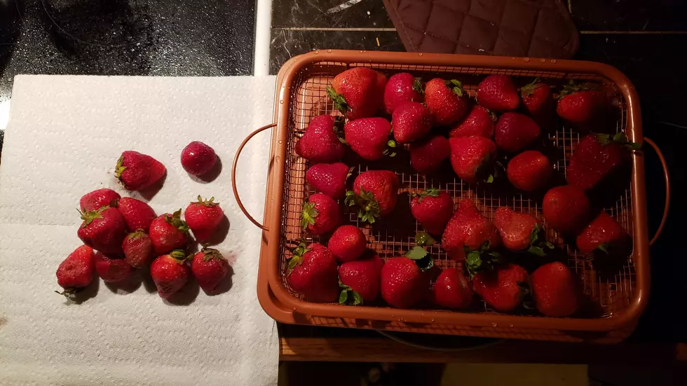 Maximize Your Strawberries Shelf Life