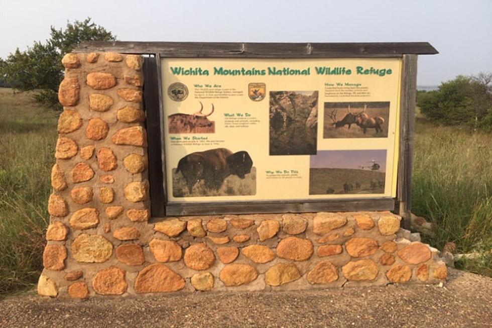 Hit the Trails & Take a Drive up Mount Scott at the Wichita Mountains Wildlife Refuge