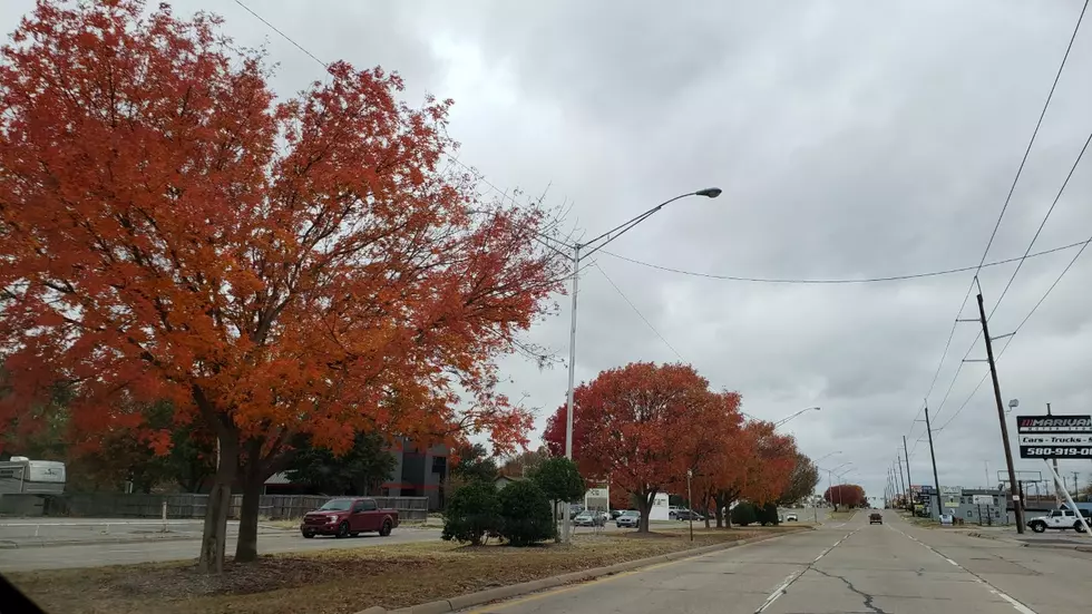 Lawton Neighborhoods Need More Fall Color