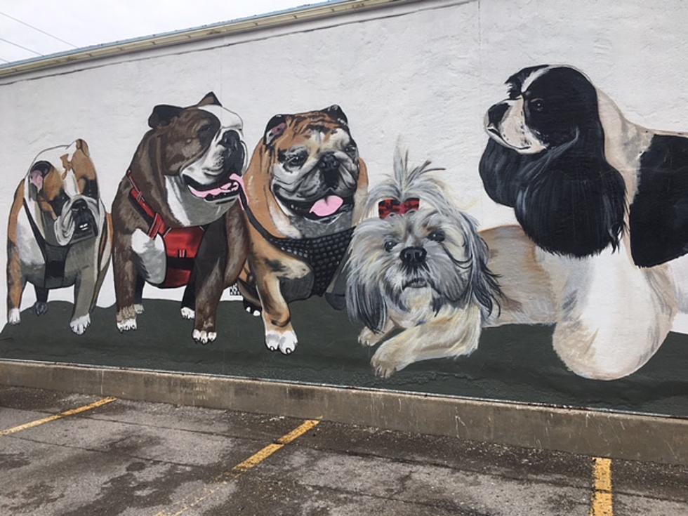 Another Mural Has Been Painted in Lawton!