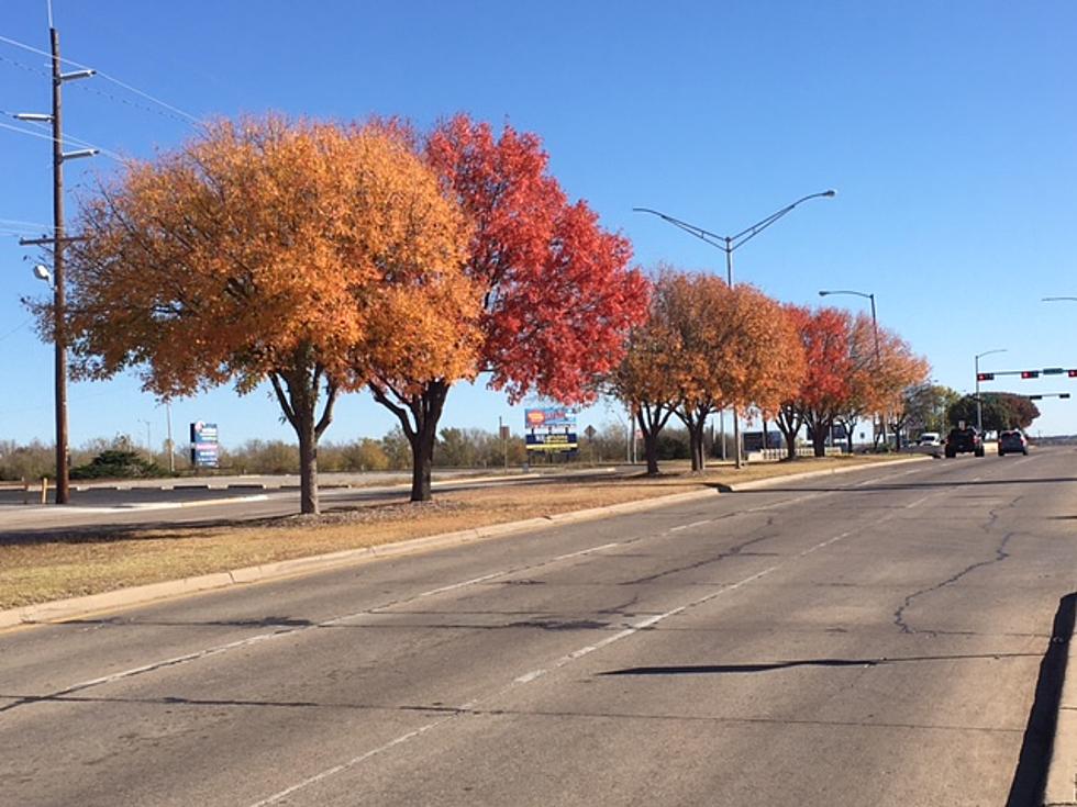 Lawton, Fort Sill’s Fall Colors are Everywhere!