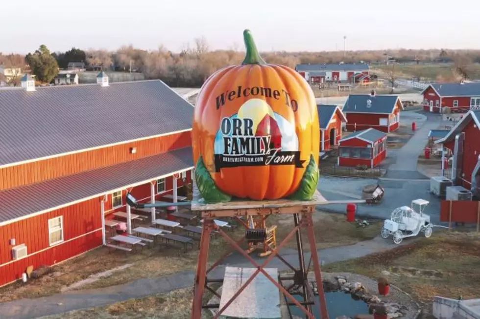 The Top 10 Oklahoma Pumpkin Patches &#038; Corn Mazes to Visit This Fall!
