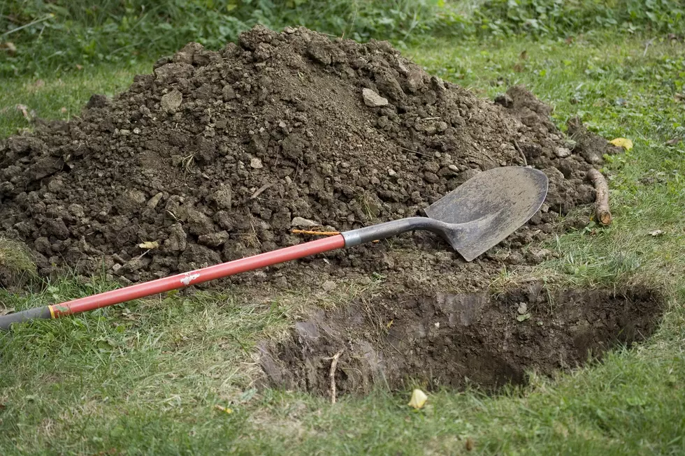 Is it Legal to Bury a Pet in the Backyard in Oklahoma?