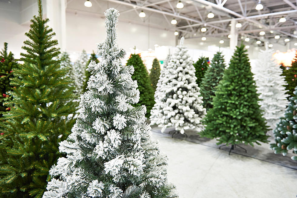 Which Does Oklahoma Prefer Real or Fake Trees?