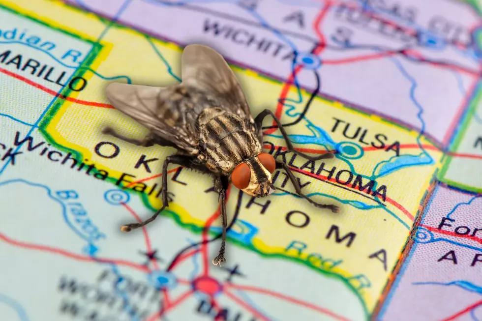 Oklahoma is Being Invaded by Millions of Flies – Why?