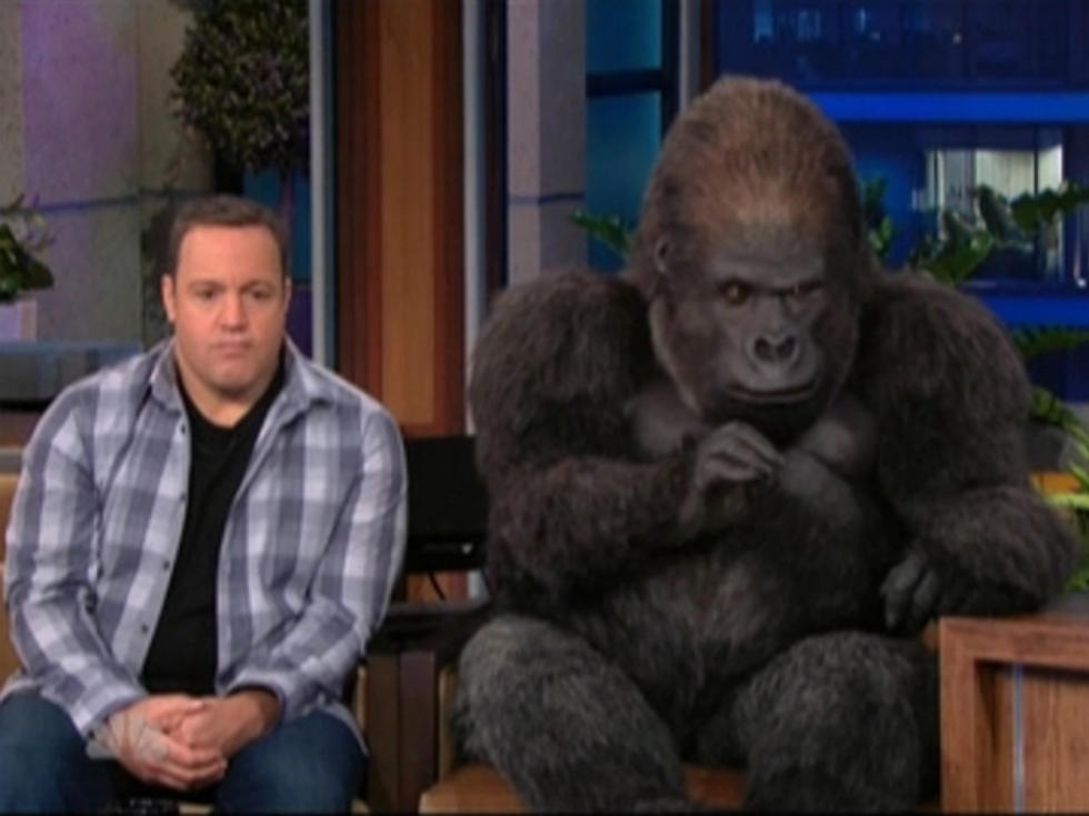 Kevin James and Bernie the Gorilla Argue on ‘The Tonight Show’ [VIDEO]