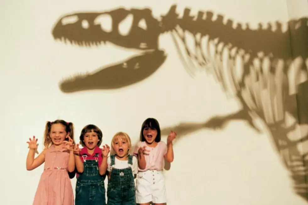 Dino Dig For a One Year Membership to Missoula Children&#8217;s Museum