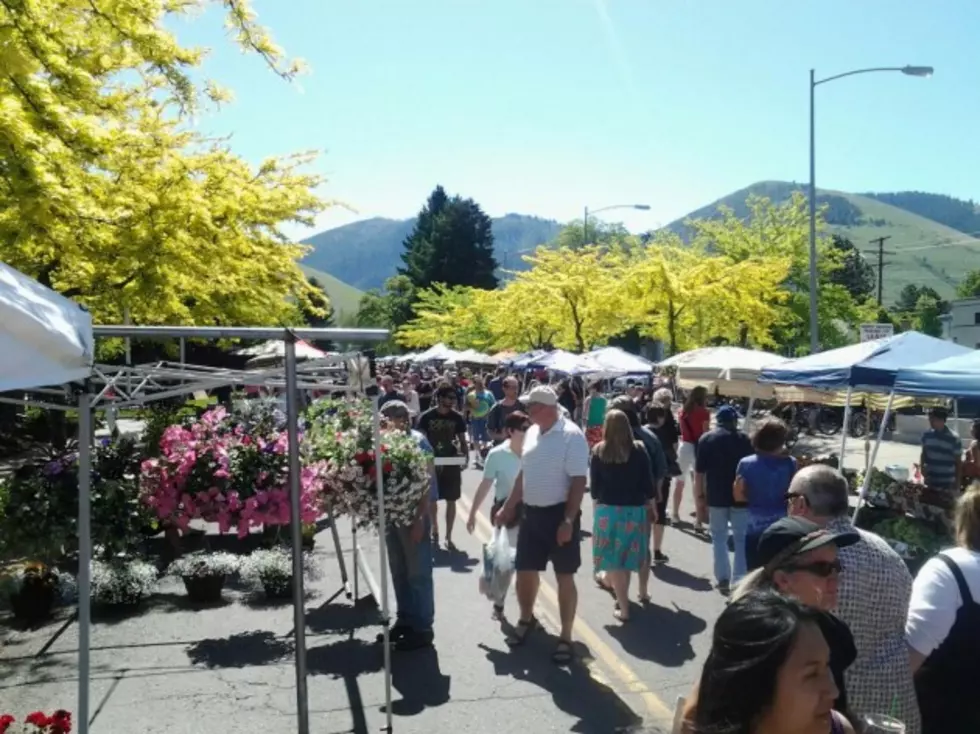 Farmer’s Market is Back This Weekend!