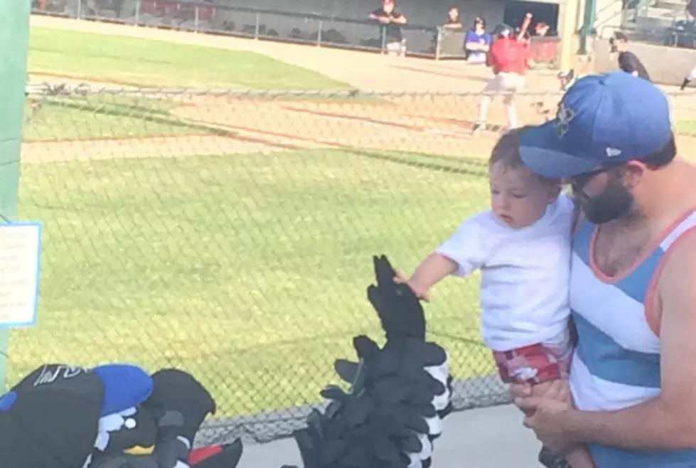 Summer Solstice, Rivers, and Osprey Baseball – Last Week In Missoula