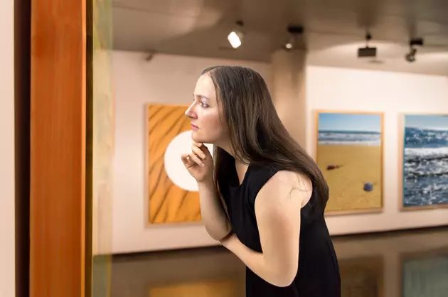 Missoula Art Museum Breaks Benefit Auction Record