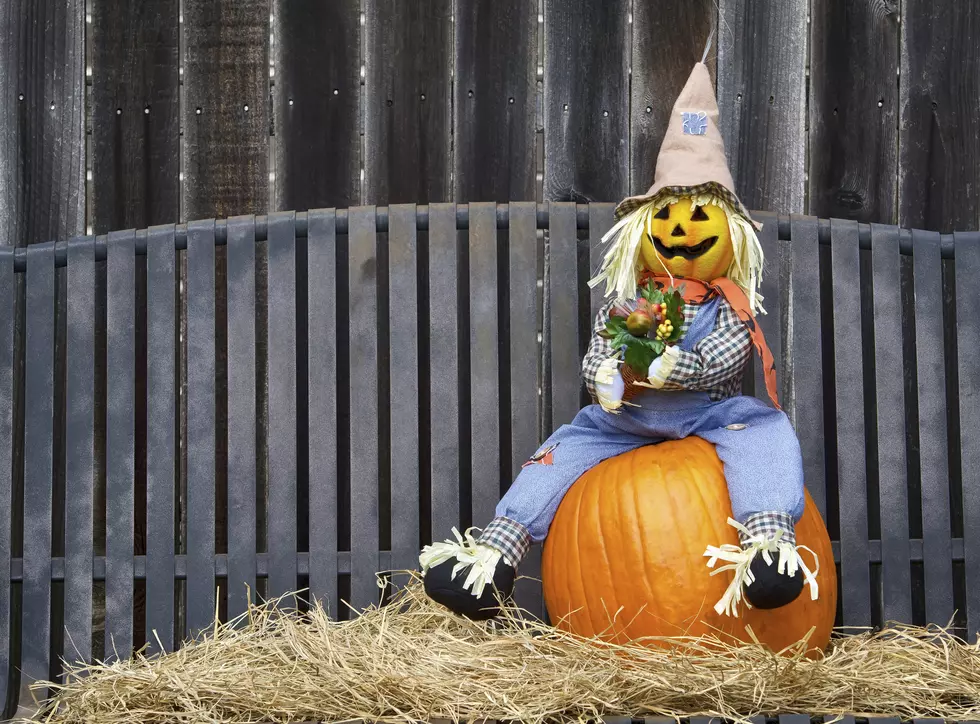 Stevensville Scarecrow Fest Moves Forward With COVID Precautions