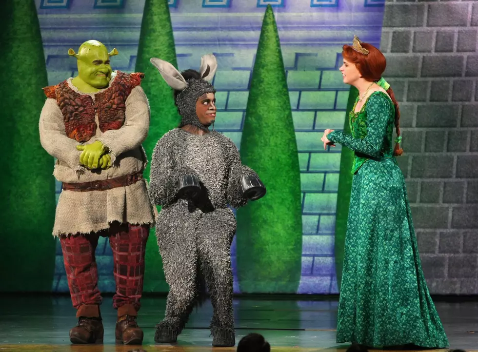 Missoula Children’s Theatre Will Stream ‘Shrek The Musical’