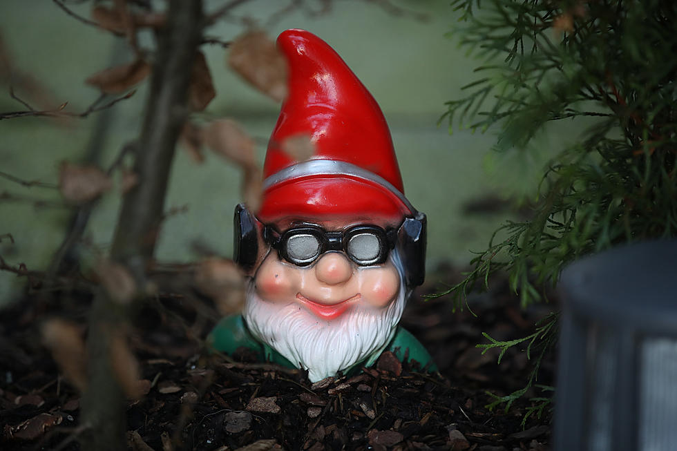 Have You Seen Gnomes Hiding In Missoula Public Parks?
