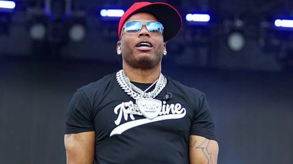 Nelly Headlines Allegan County Fair Concert
