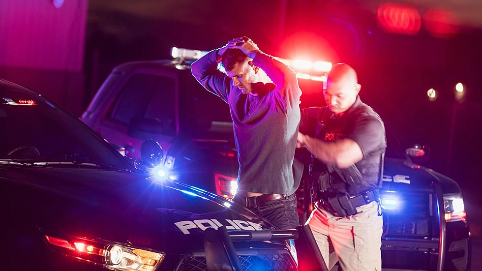 Can Police In Michigan Search Your Car Without Consent or Warrant