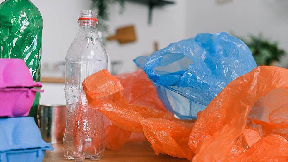 Are Single-Use Plastic Bag Bans Coming To Michigan?