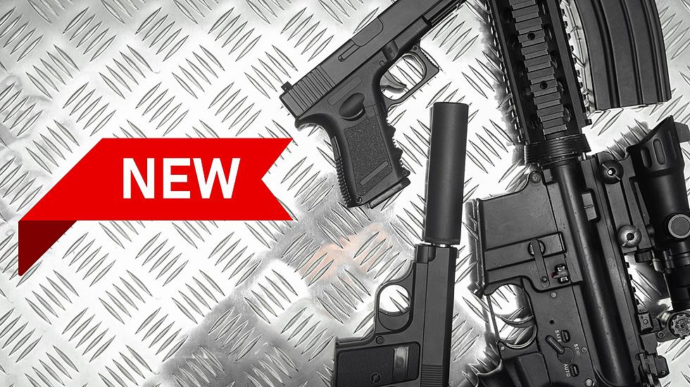 Current & Future Michigan Gun Owners Beware of New Gun Laws