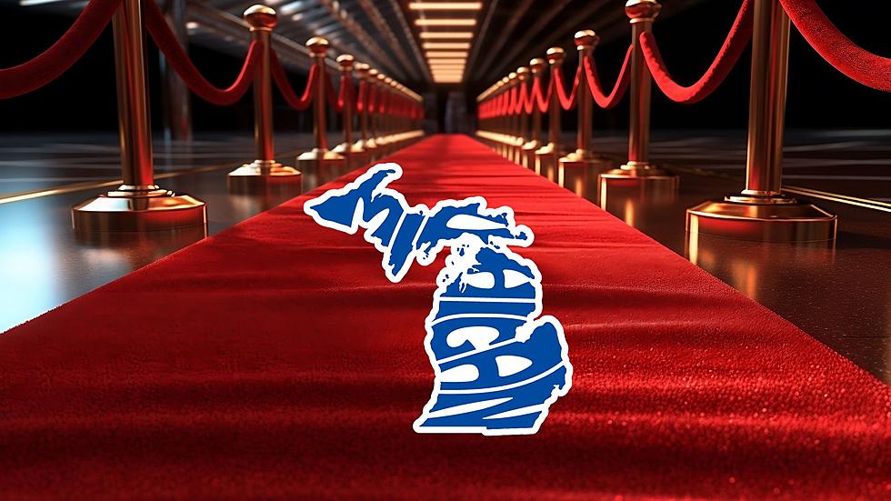 Red Carpet State: A List of Celebrities Living In Michigan