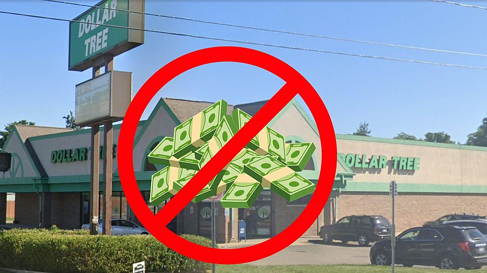 11 Items You Should NEVER Buy At A Michigan Dollar Store