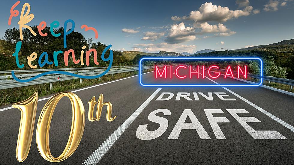 Michigan Is The 10th Safest State For Learning Drivers