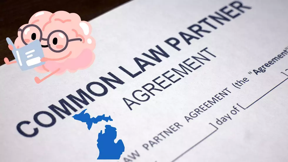 Michigan Residents Should Know This About Common Law Marriage