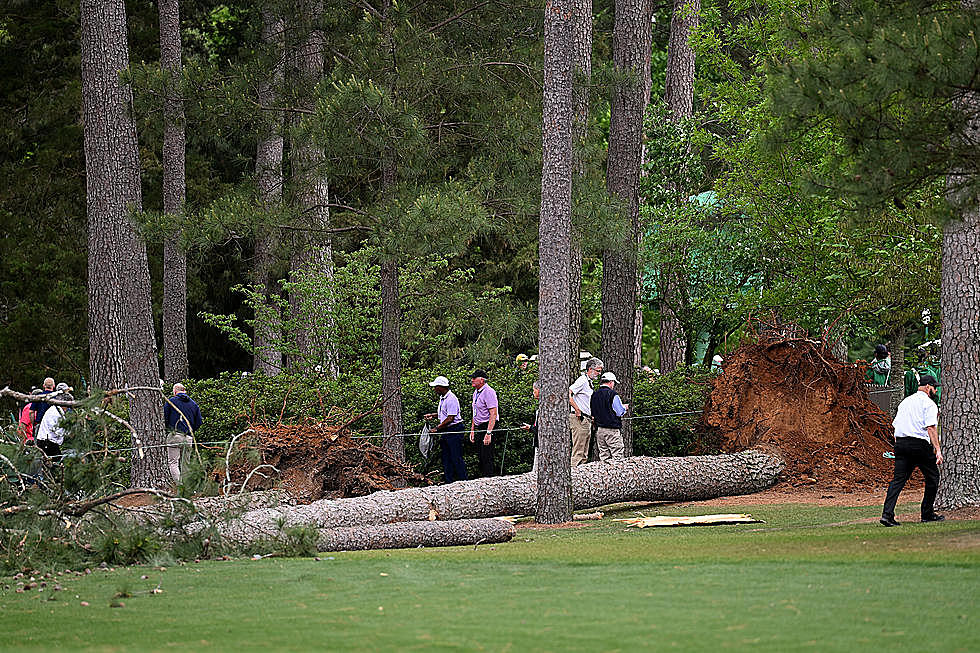 Storm Causes Huge Tree to Fall Near Crowd at Masters in Georgia