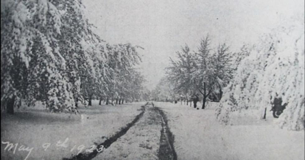 100 Years Ago, The Biggest May Blizzard Ever Pounded Michigan