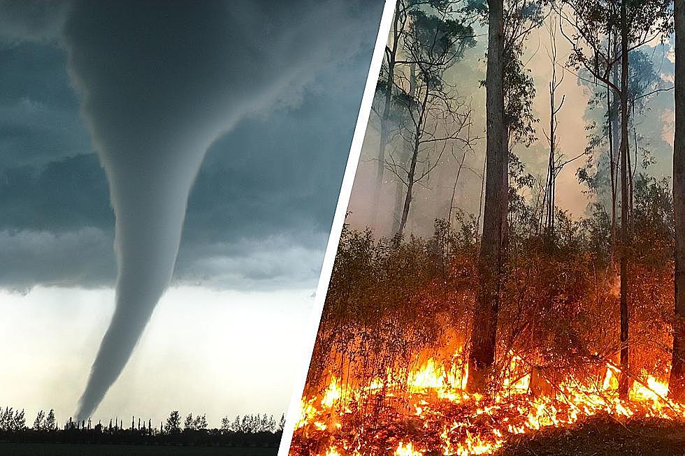 The 11 Biggest Weather Disasters to Ever Impact Minnesota