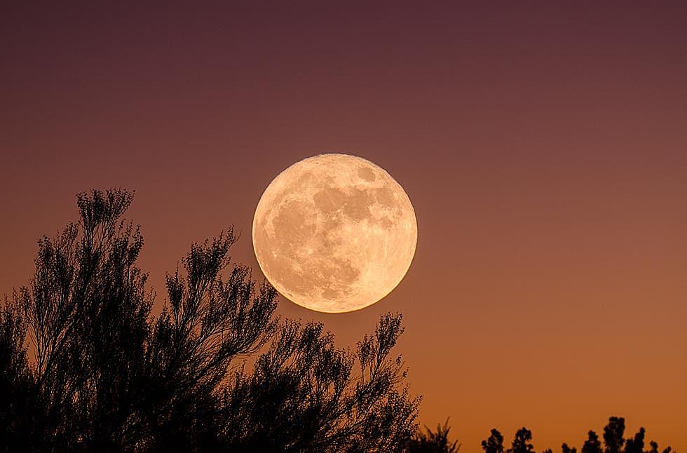 What You Need to Know About the August Supermoons