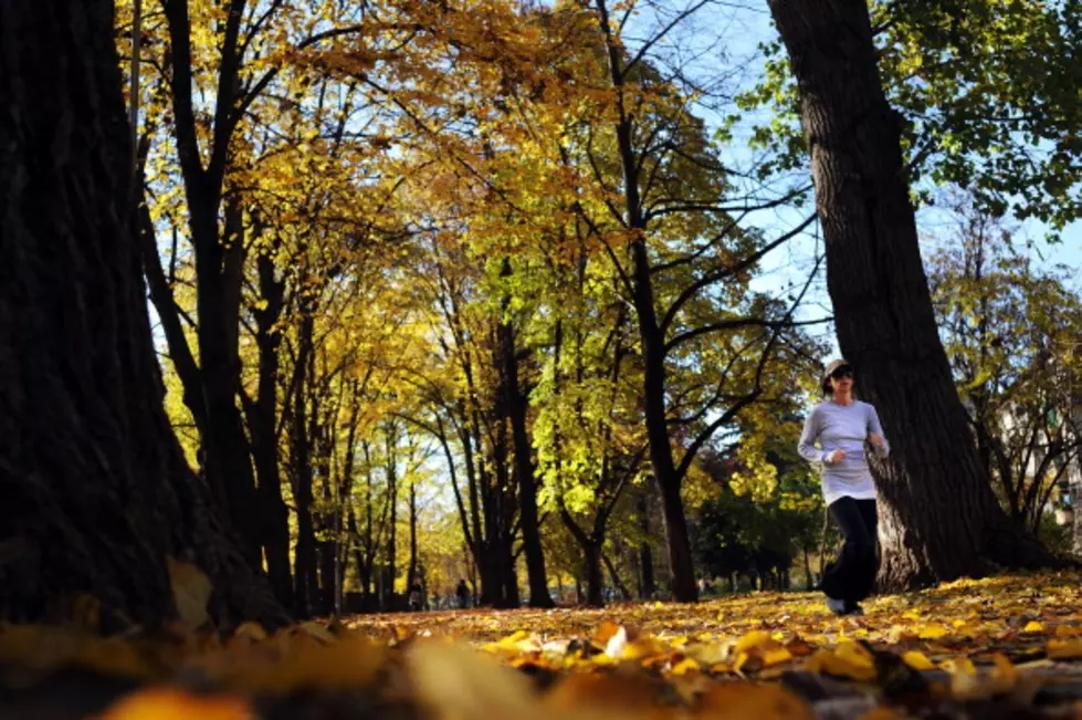 Three Easy Ways To Help You Stay In Shape This Fall
