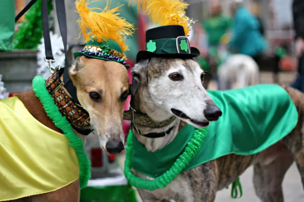 Missoula&#8217;s St. Patricks Day Parade 2015