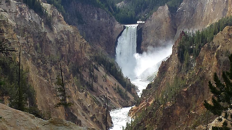 Why Do You Love Yellowstone? [Video]