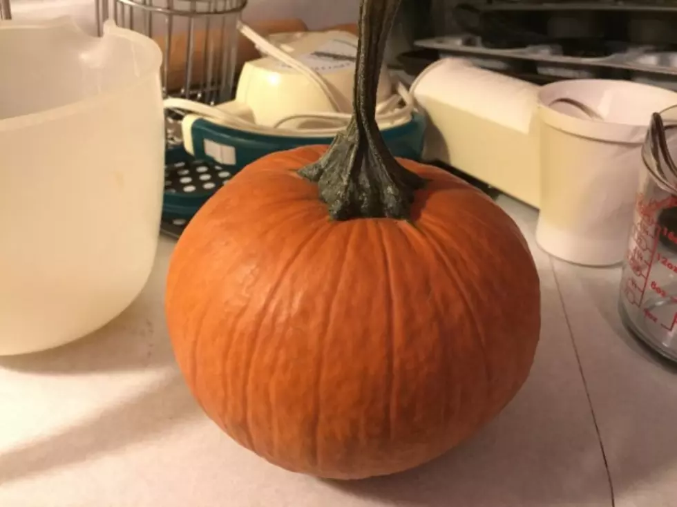 Pumpkin Baking Ideas, Multi Uses