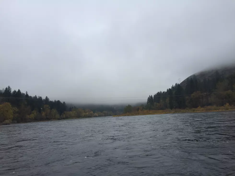 Pictures from Steelhead Fishing in Idaho, Great Fall Colors!