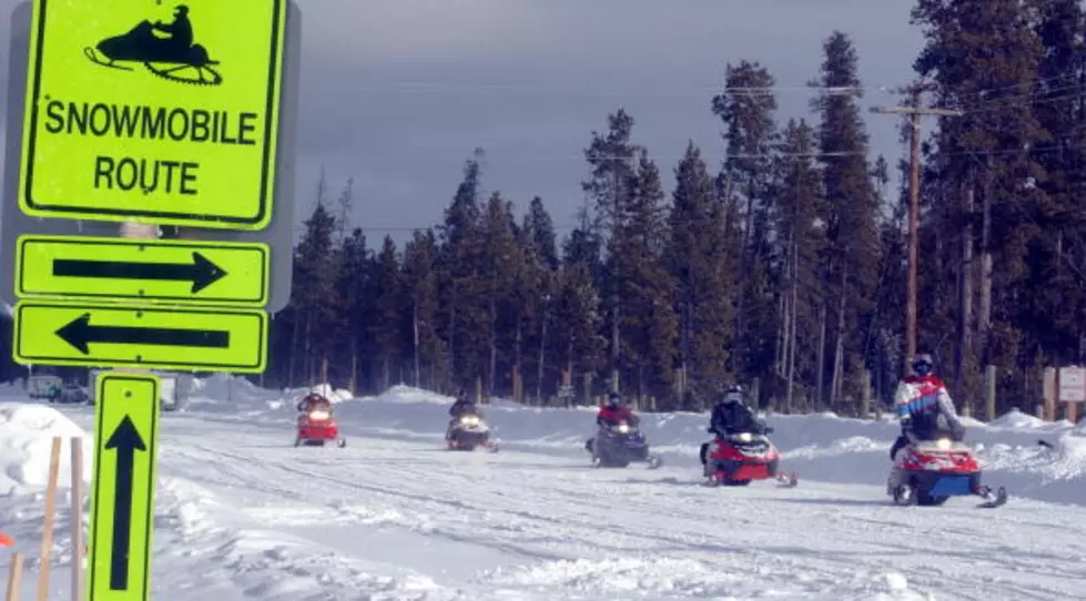 Have You Ever Gone Snowmobile Skijoring Before?