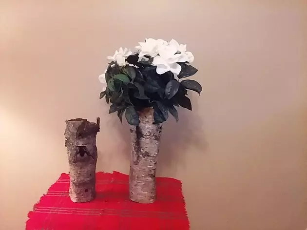 Montana Bark Vases, Made Exclusively in Missoula