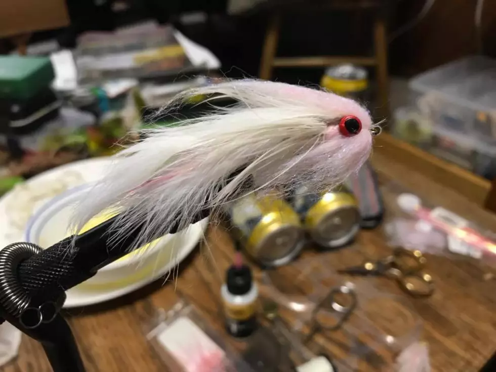 Learning a New Fly, Good for Trout and Pike