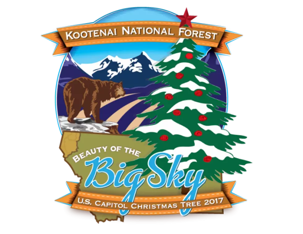 Montana Kid Picked to Light U.S. Capitol Christmas Tree