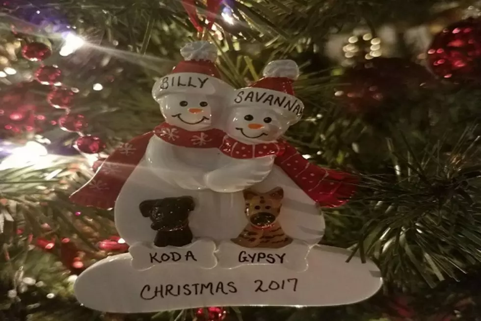 Billy's 2017 Family Ornament