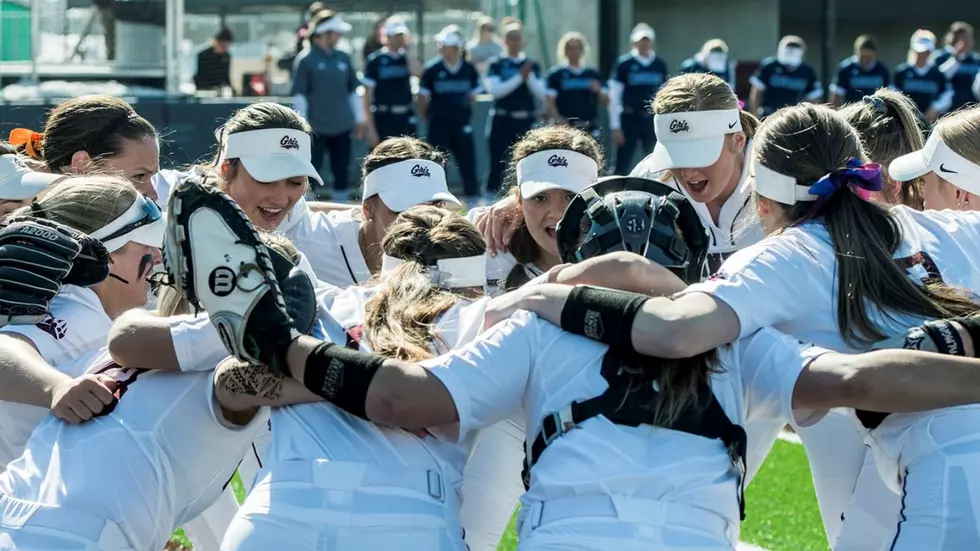 Cheer on Griz Softball at Conference Home Openers This Weekend