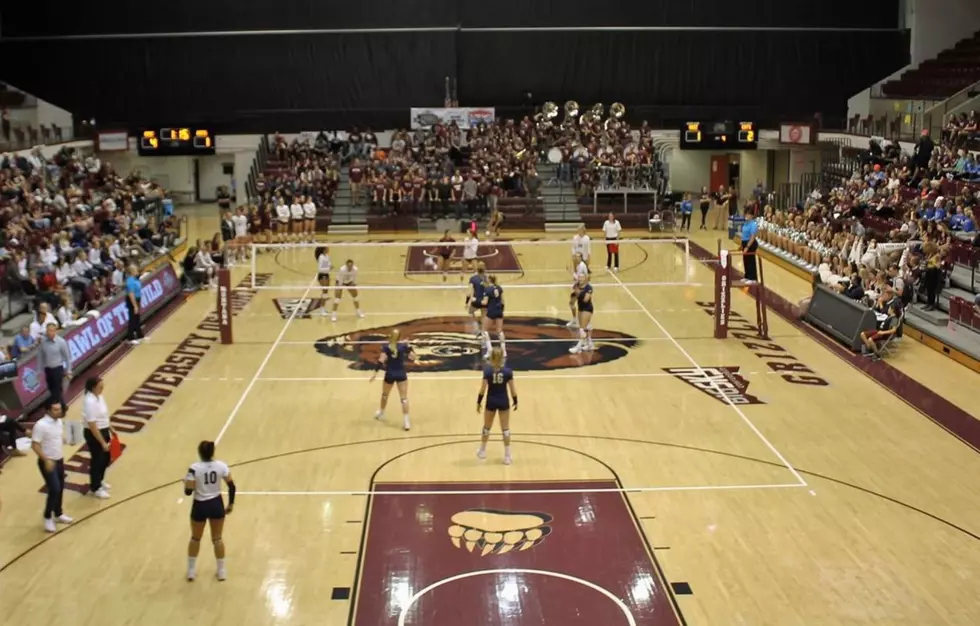 Free Montana Grizzly Volleyball Match Scheduled