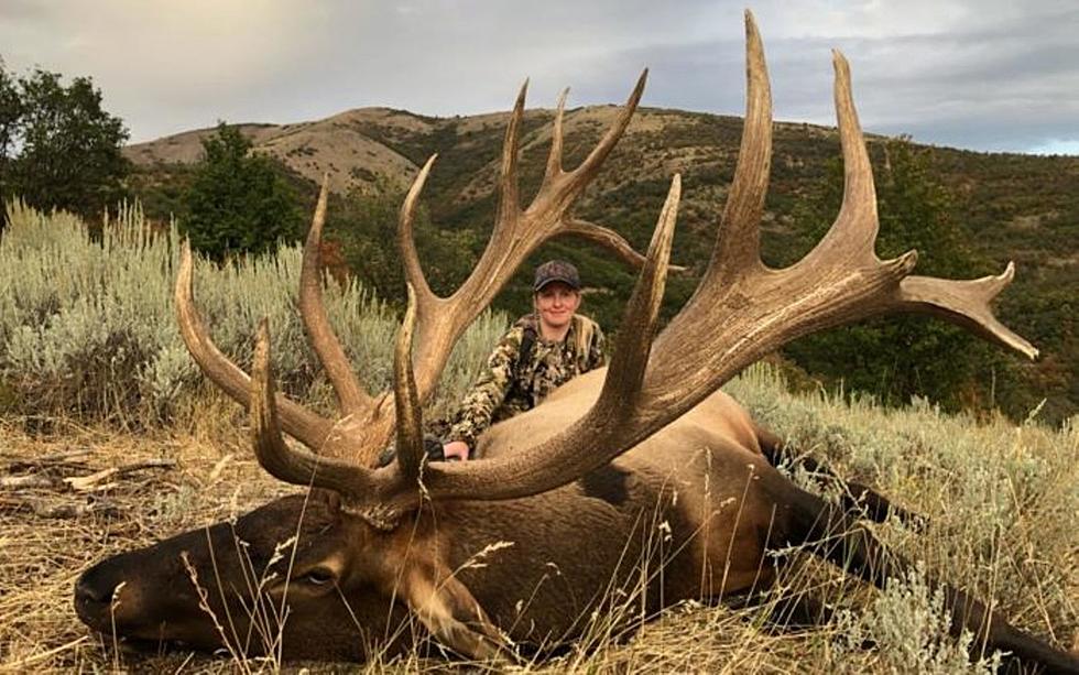 Huson, Montana Hunter Takes Down Giant Elk