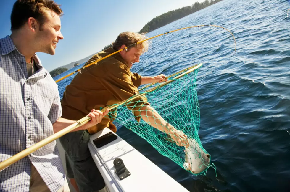 Free Mack Days Fishing Tourney Resumes on Flathead Lake