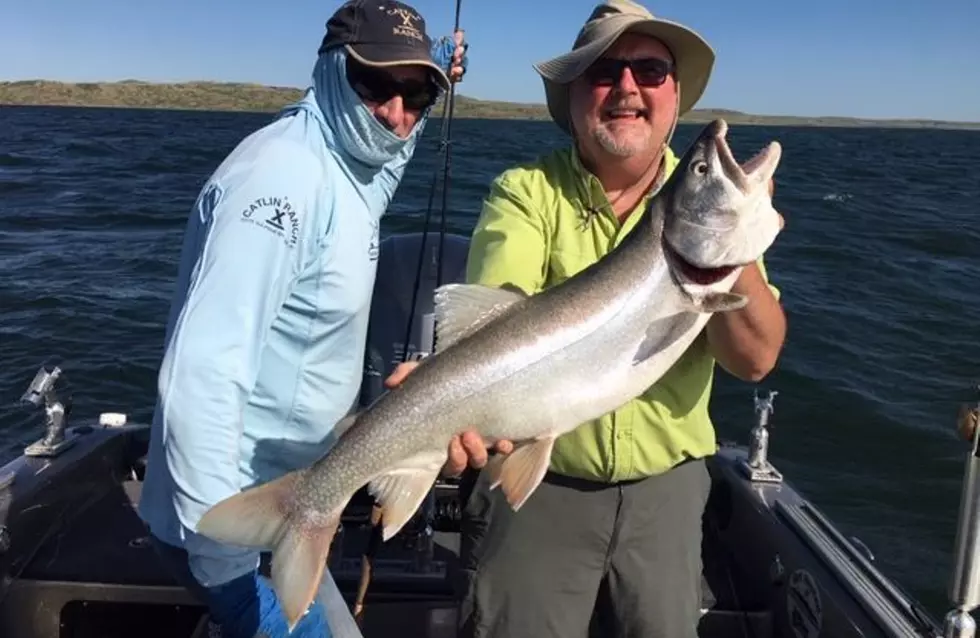 There’s a $10,000 Fish Swimming Around in Flathead Lake