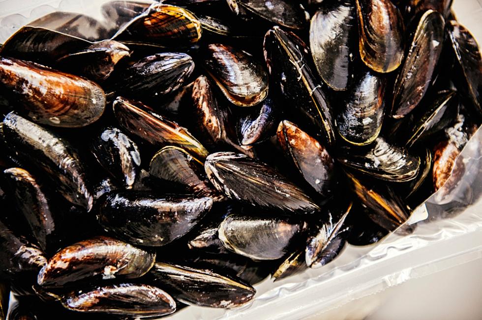Another Boat With Mussels Already Found in Montana