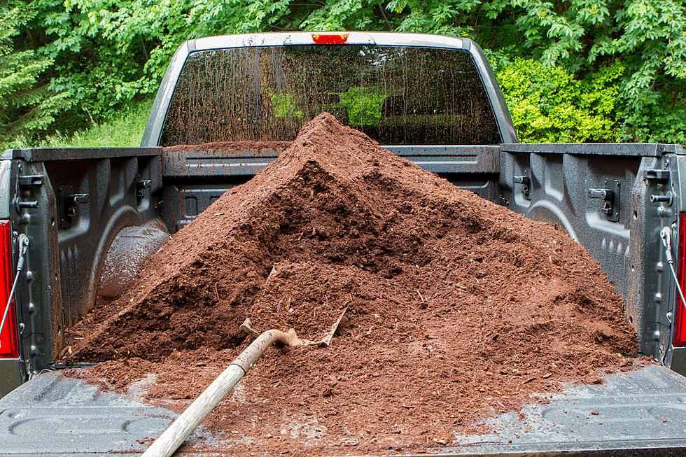 Text to Win Potting Soil and Topdressing From Garden City Compost