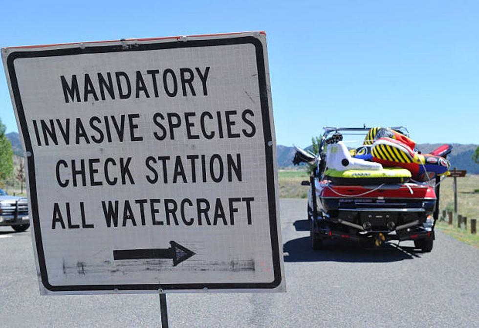Update on Boats Found With Invasive Mussels Entering Montana